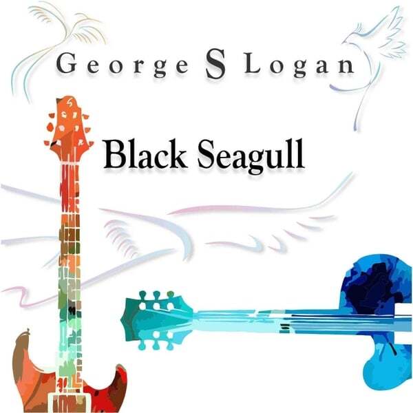 Cover art for Black Seagull