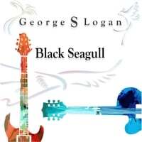 Black Seagull